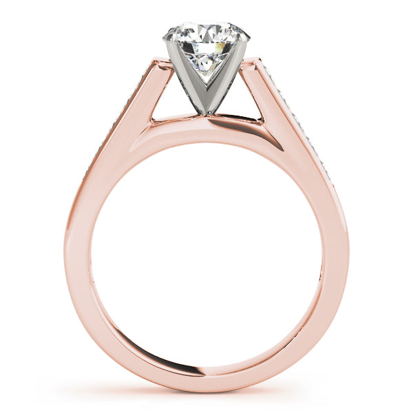 Single Row Fancy Shape Princess Cut Engagement Ring