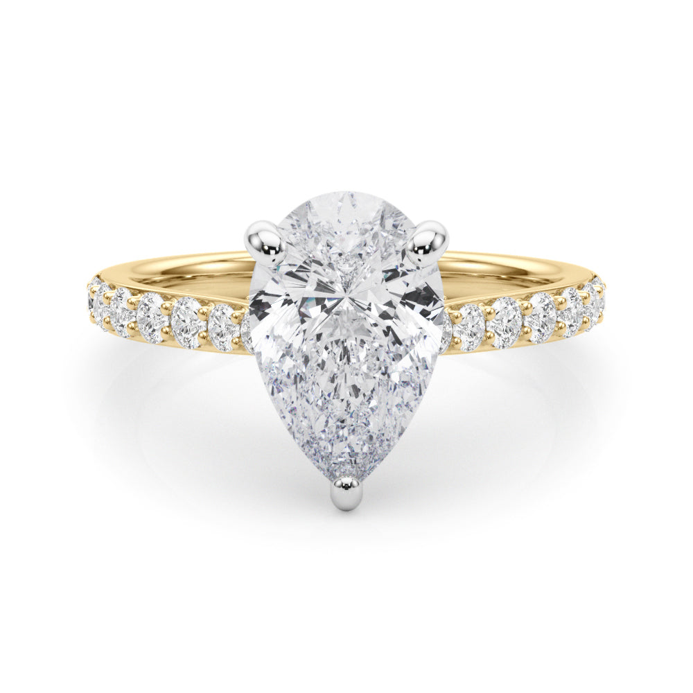 Ps Hidden Halo Engagement
