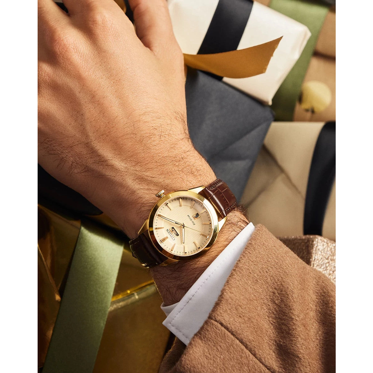 Citizen Rolan AW0092-07Q view 5