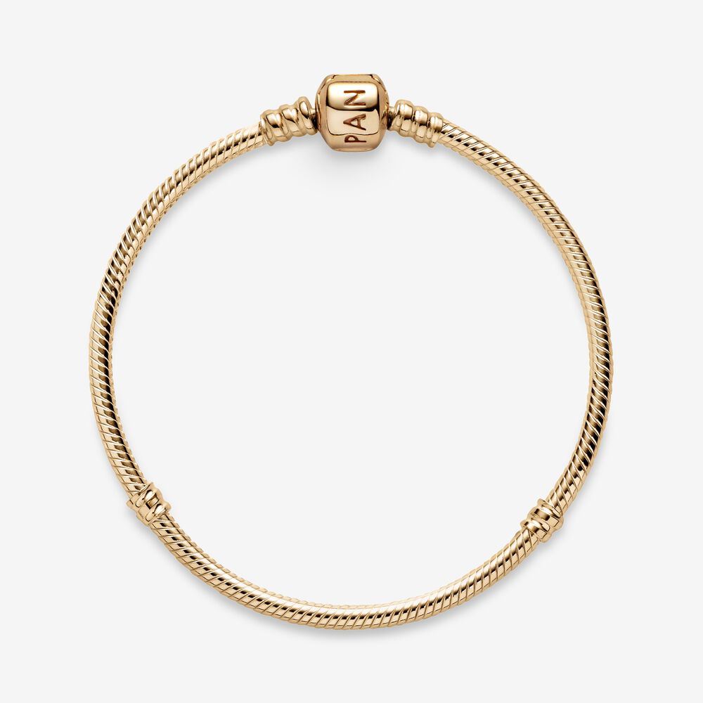 Moments Gold Clasp Bracelet