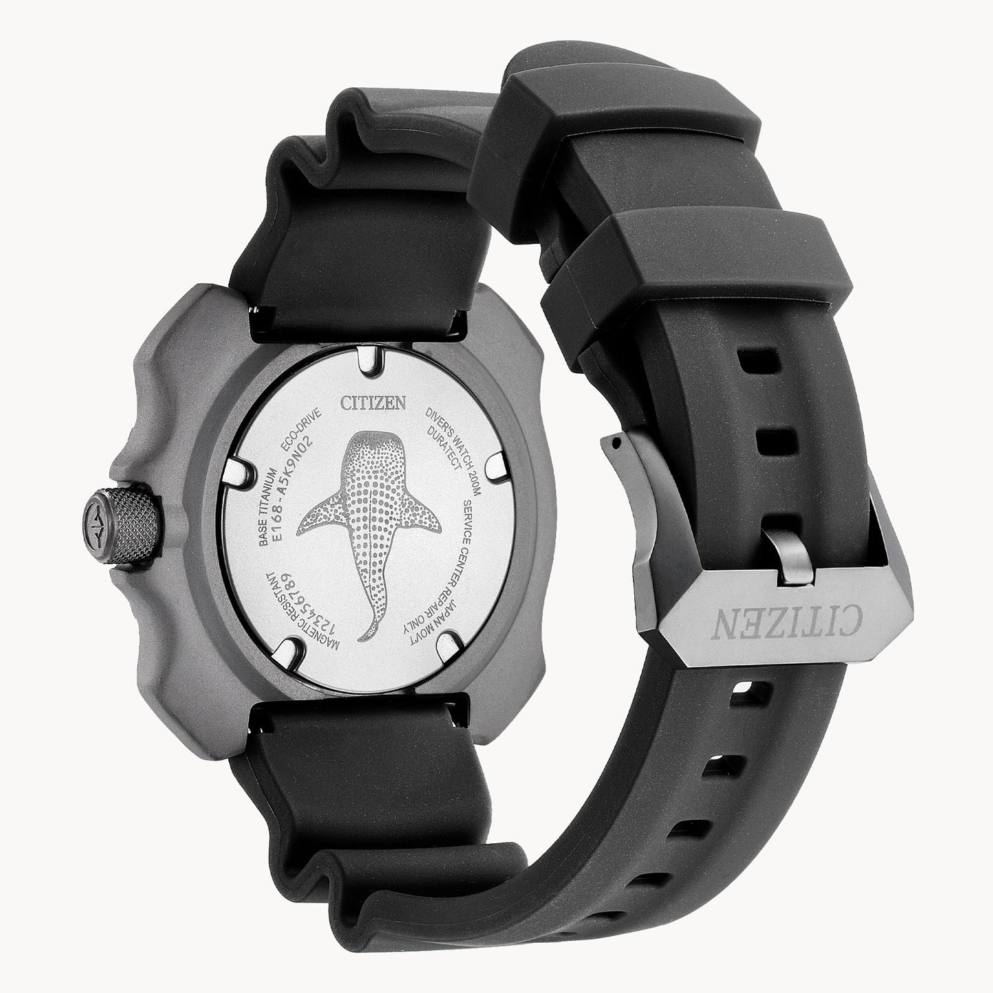 Promaster Dive