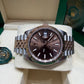 Rolex Datejust 41mm Everose Gold and Steel 126331 Choclate
