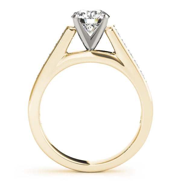 Single Row Fancy Shape Princess Cut Engagement Ring
