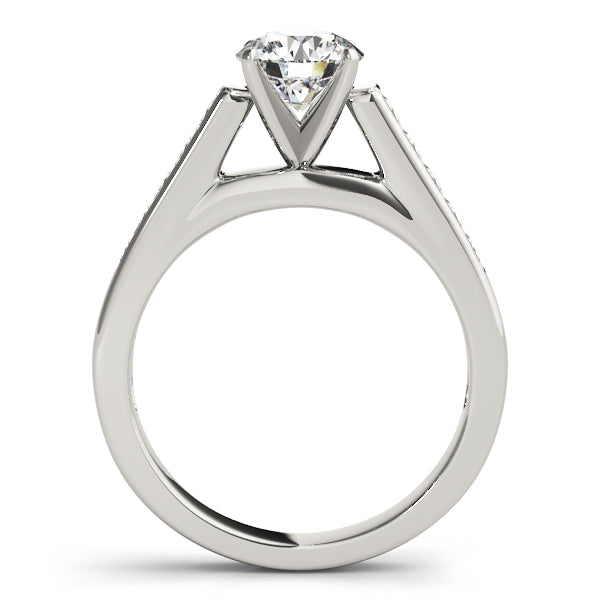 Single Row Fancy Shape Princess Cut Engagement Ring
