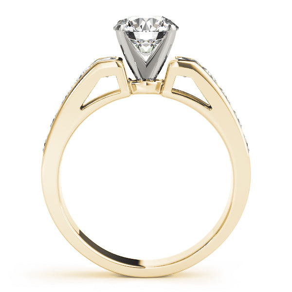 Single Row Fancy Shape Princess Cut Engagement Ring