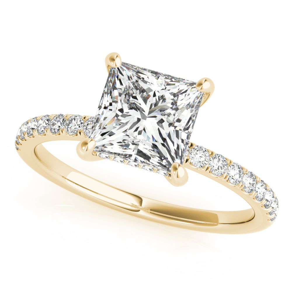 Princess Cut Hidden Halo Engagement Ring