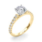 Single Row Engagement Ring