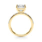 Single Row Princess Cut Engagement RIng