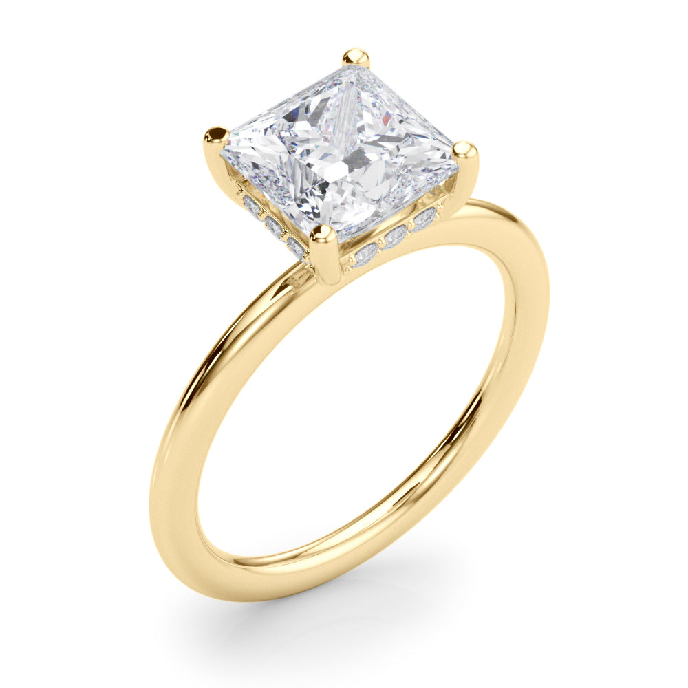 Hidden Halo Princess Cut Engagement Ring