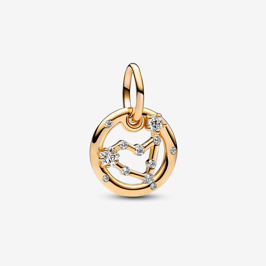 Capricorn Zodiac Dangle Charm Bracelet Set