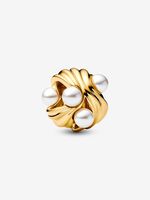 Pandora FINAL SALE - Abstract Waves Charm