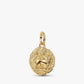 Pandora Lion Medallion Charm