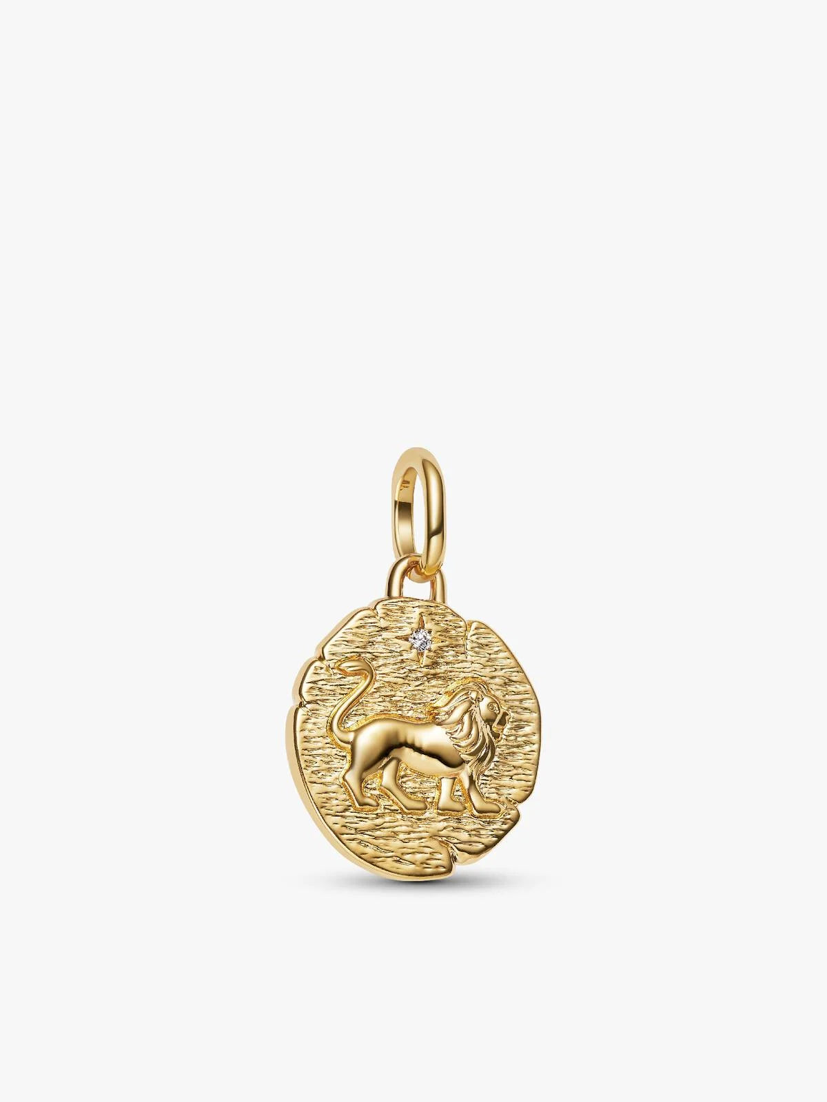 Pandora Lion Medallion Charm