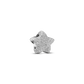 Pandora Textured Star Mini Charm