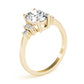 Solitaire Plus Cluster Sides Engagement Rings