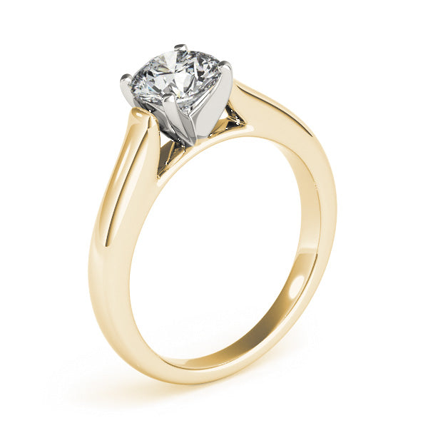 Cathedral Engagement Ring