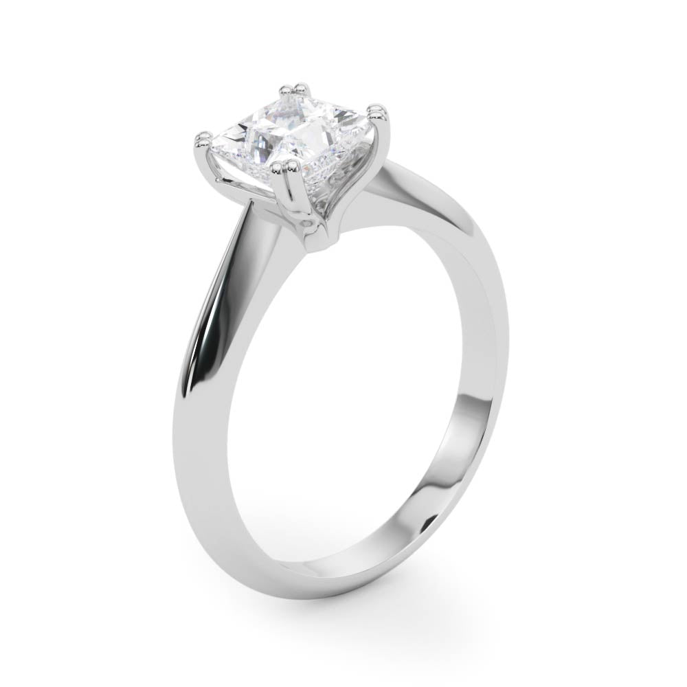 Double Prong Princess-Cut Engagement Rings