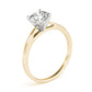 Cathedral Engagement Ring