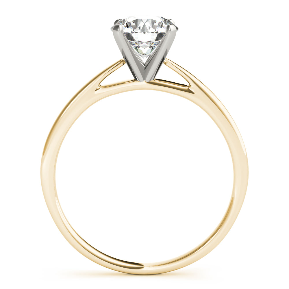 Cathedral Engagement Ring