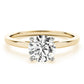 Cathedral Engagement Ring