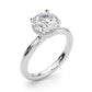 Double Hidden Halo Round Engagement Ring