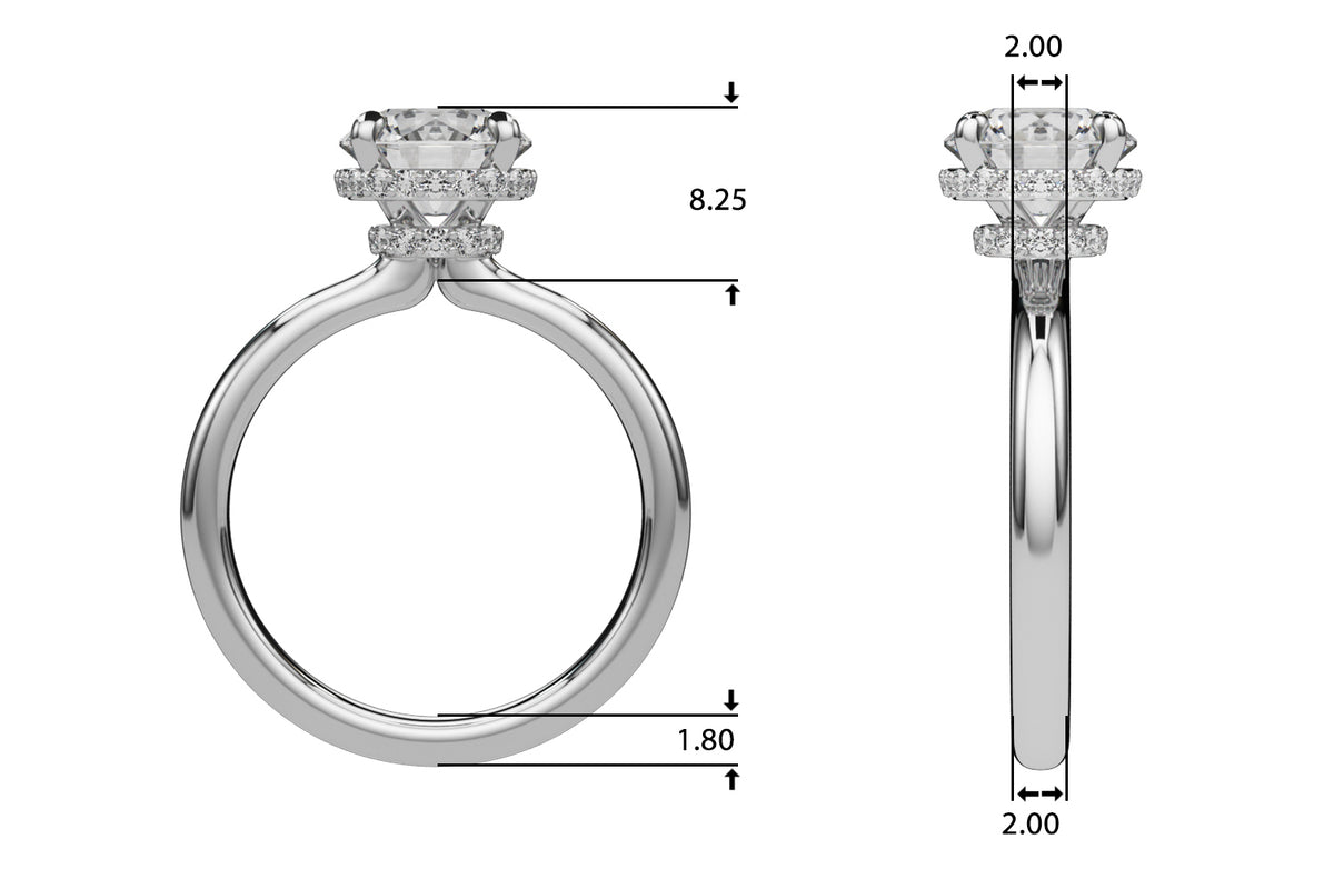 Double Hidden Halo Round Engagement Ring