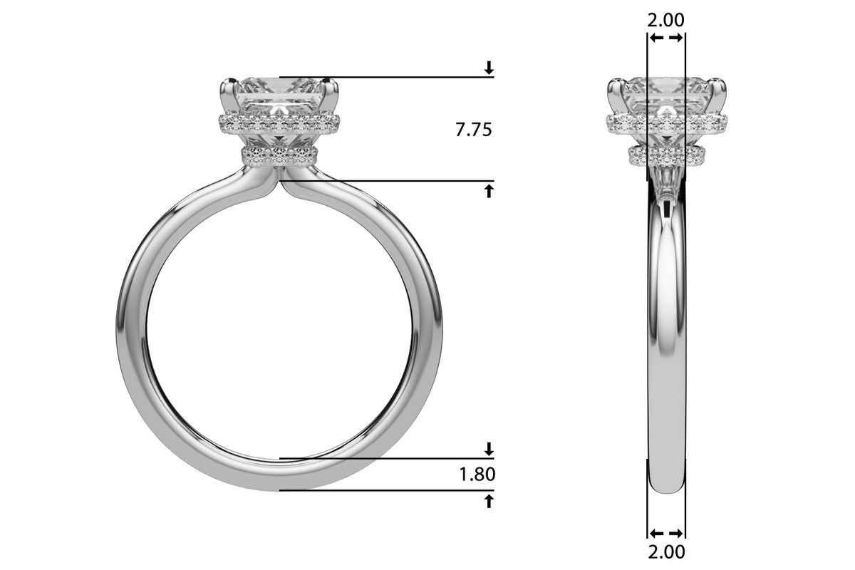 Double Hidden Halo Princess Cut Engagement Ring