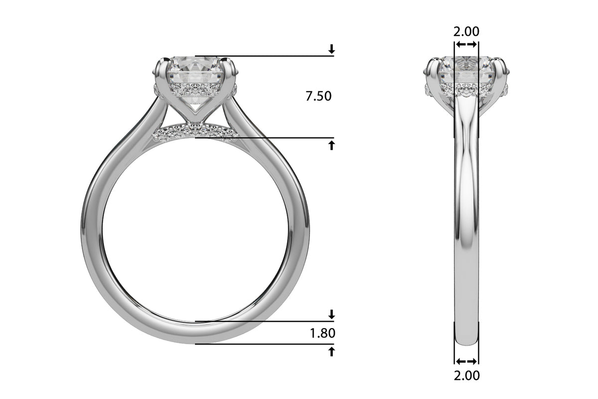 Round Hidden Halo Engagement Ring