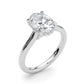 Oval Hidden Halo Engagement Ring