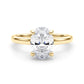 Oval Hidden Halo Engagement Ring