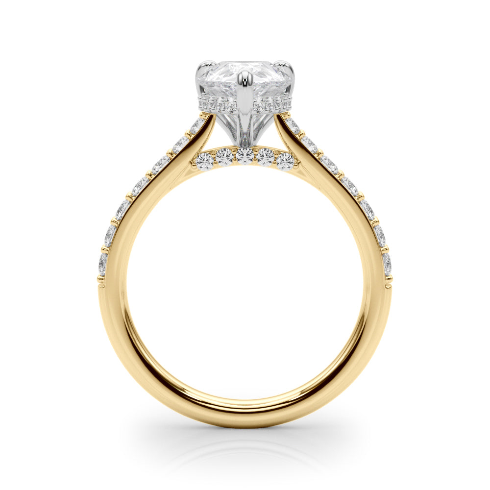 Ps Hidden Halo Engagement