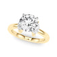 Engagement With Marquise