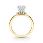 Engagement With Marquise