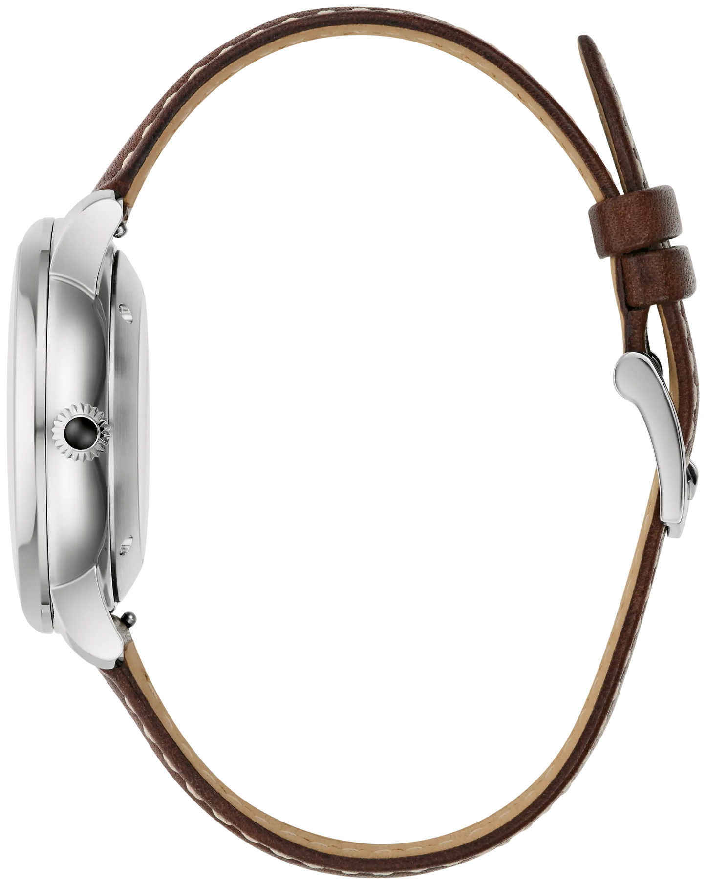 Stetson Longhorn