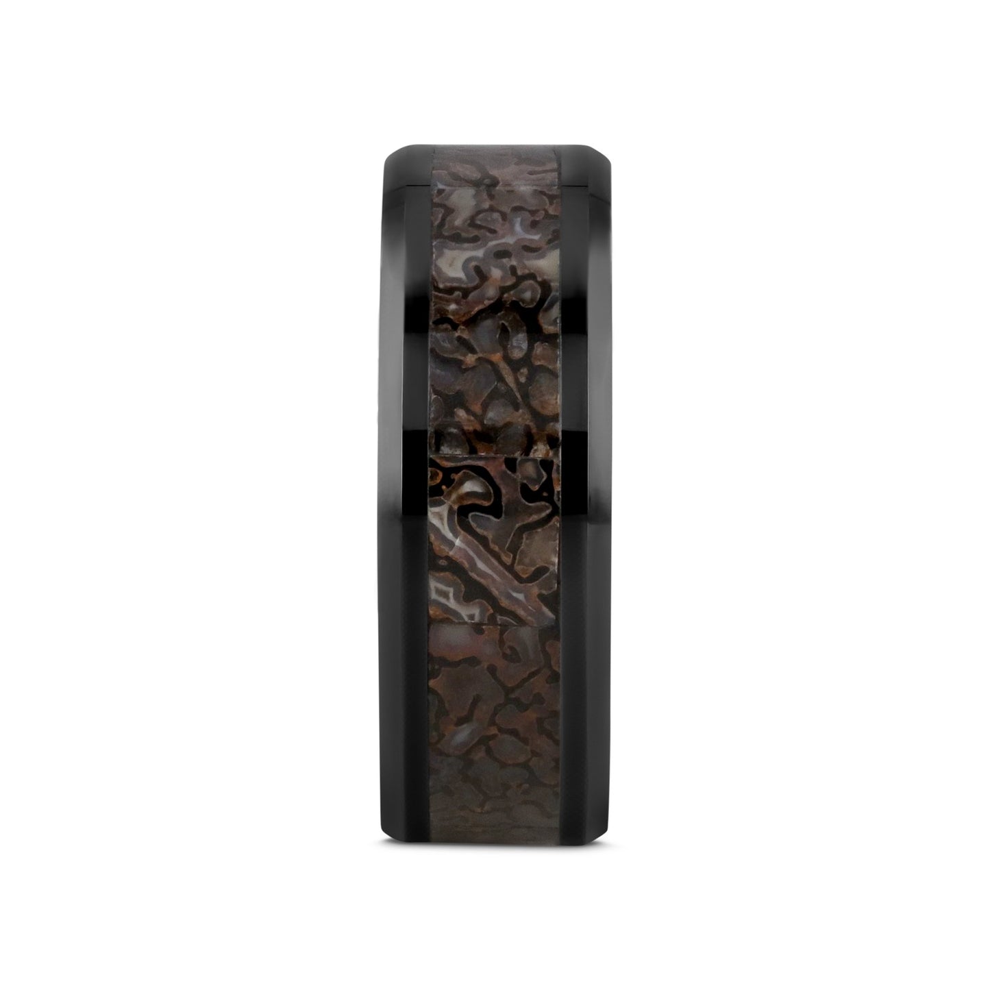 SILURIAN Dinosaur Bone Inlaid Black Ceramic Beveled Edged Ring - 4mm or 8mm