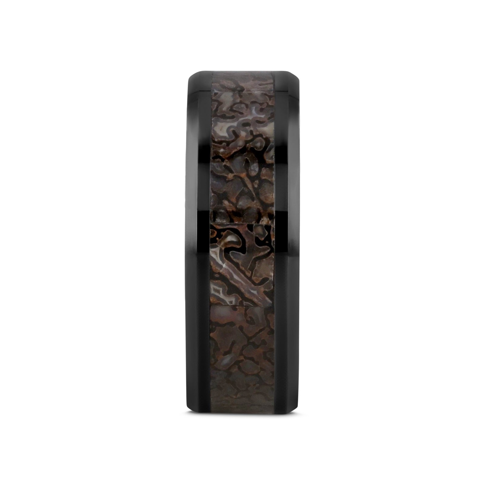 SILURIAN Dinosaur Bone Inlaid Black Ceramic Beveled Edged Ring - 4mm or 8mm