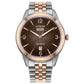 Citizen Rolan AW0156-57X