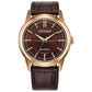 Citizen Rolan AW2113-16X