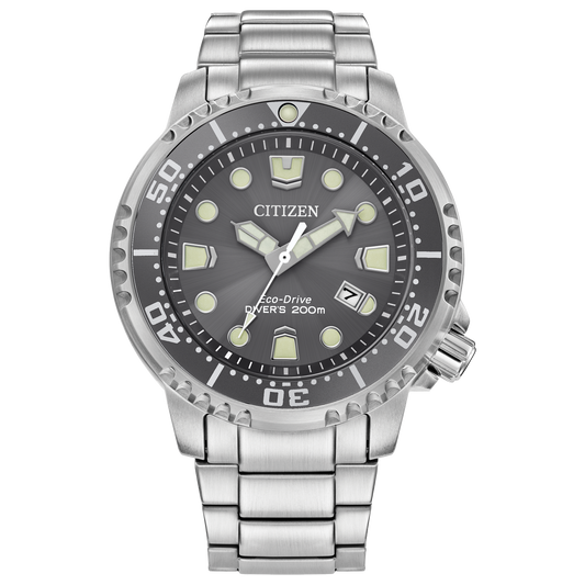 Promaster Dive