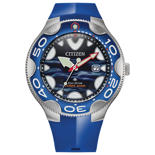 Promaster Dive