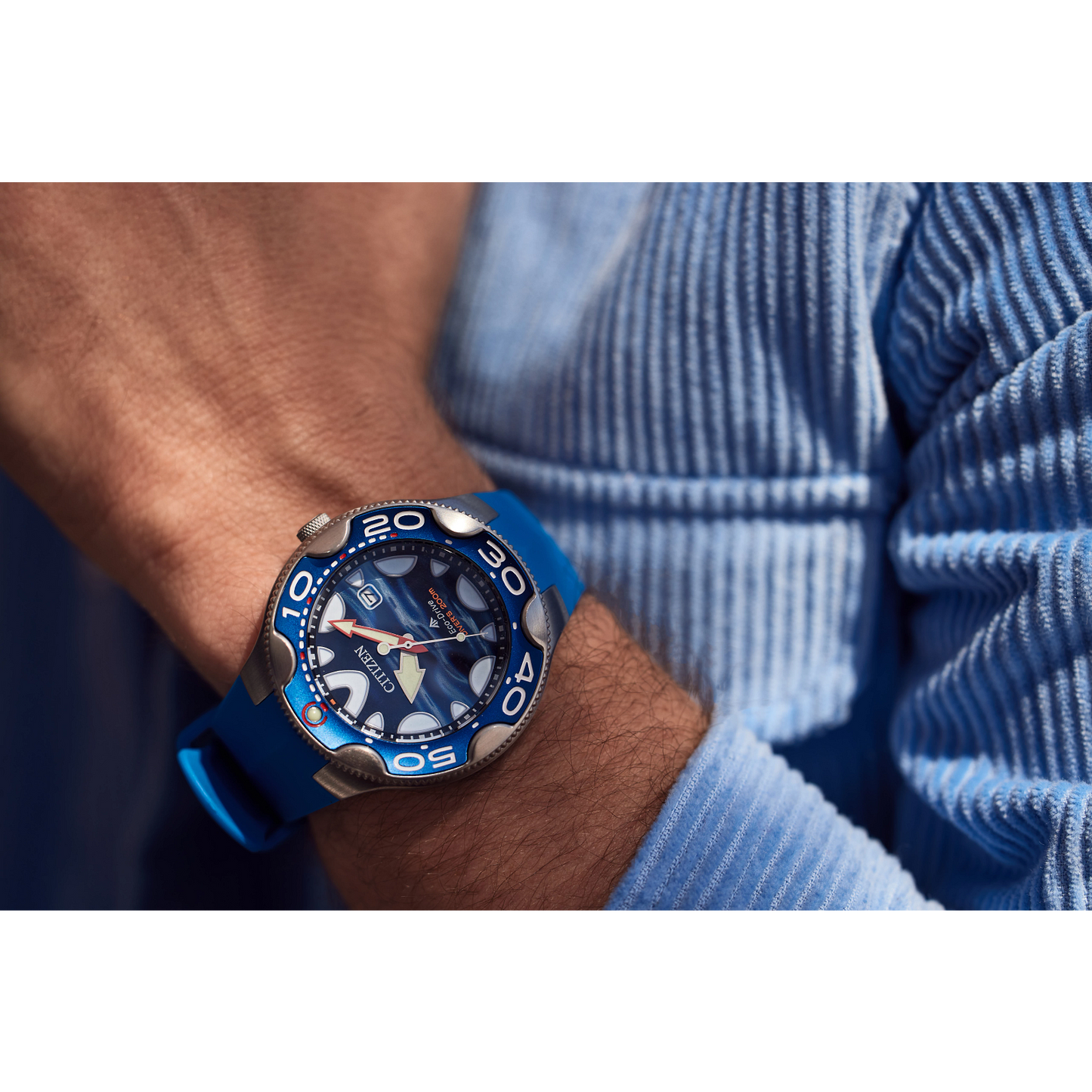 Promaster Dive
