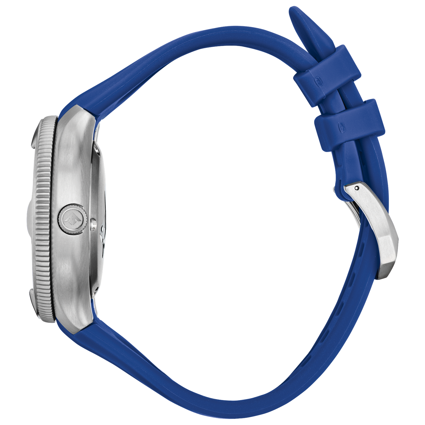 Promaster Dive