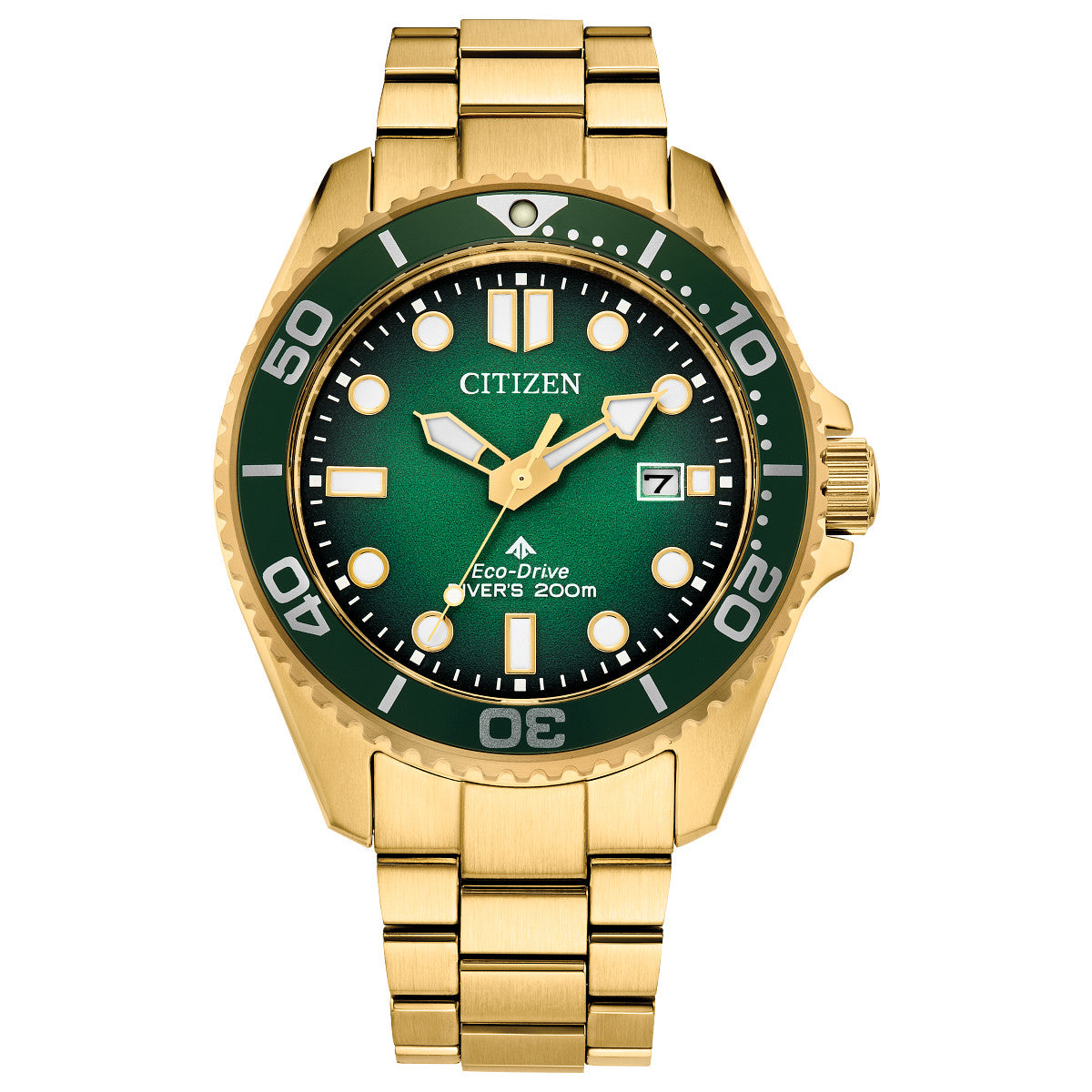 Citizen Promaster Dive BN0262-59W