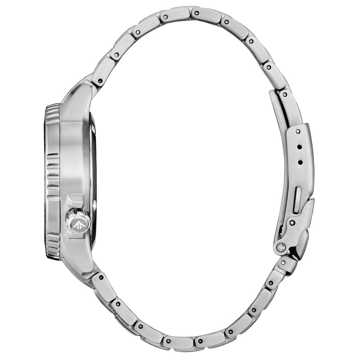 Citizen Promaster Dive EO2027-50X view 2