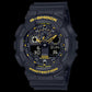 ANALOG-DIGITAL | GA-100 SERIES | GA100CY-1A