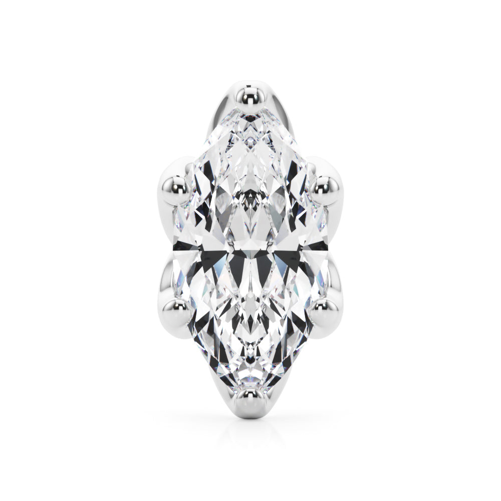 6 Pr Marquise Tulip Head