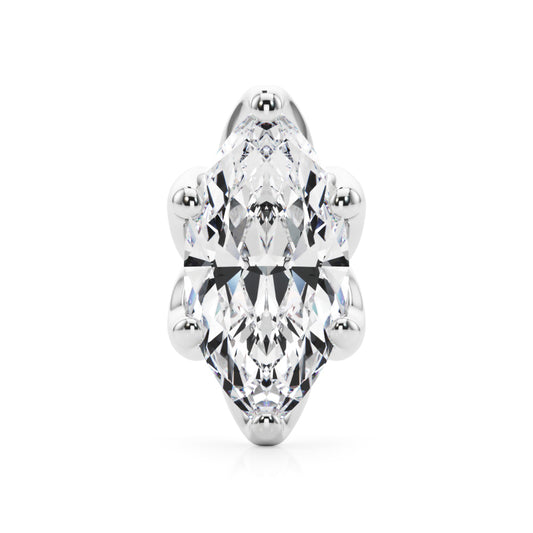 6 Pr Marquise Tulip Head