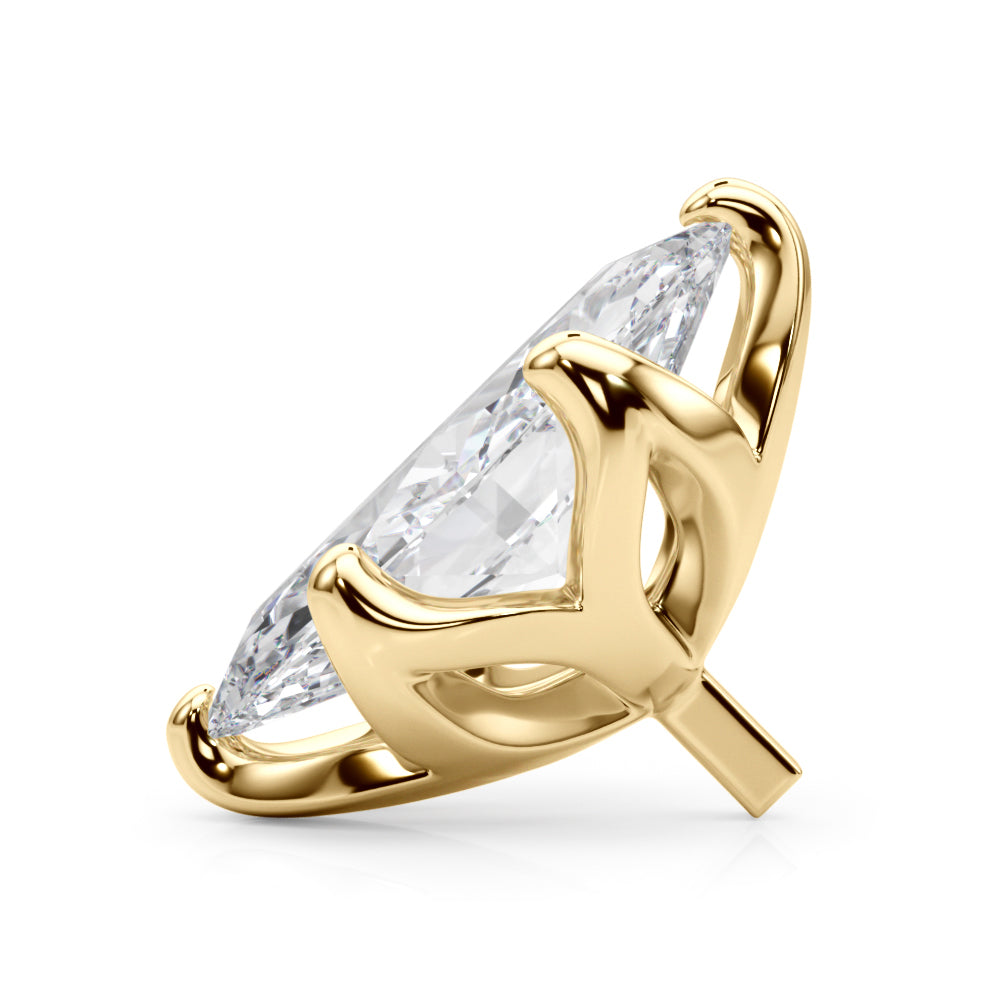 6 Pr Marquise Tulip Head