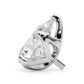 5 Pr Ps Tulip Head