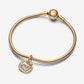 Capricorn Zodiac Dangle Charm Bracelet Set